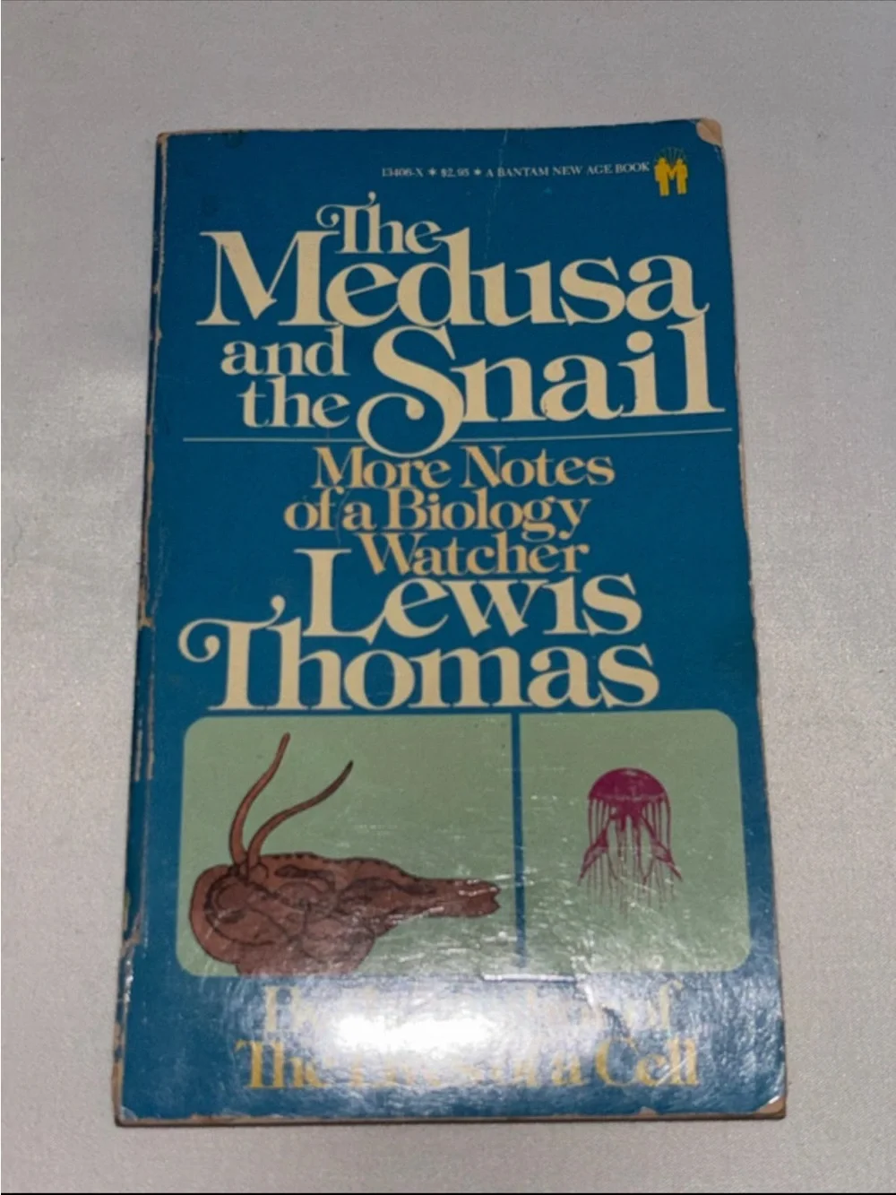 Classic Assorted Paperback Book Stack - Multicolor l - Picture 7 of 9